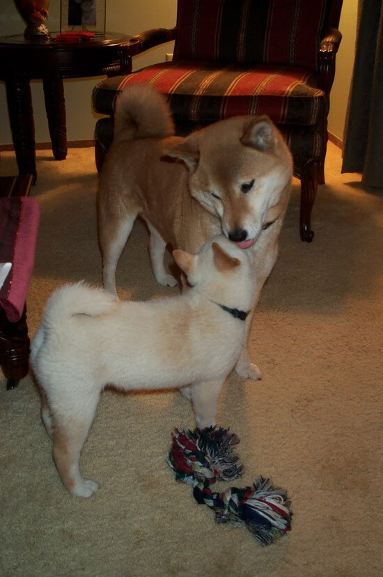 乐鱼体育app官方入口-76人召开球员会议共同制定团队目标与承诺，76人队介绍